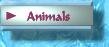 Link to banner: Animals - Birds, Pets, Wildlife