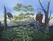 link to Eagle's Point of View, a wildlife landscape, at Where Art Meets the Heart